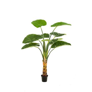 Plante artificielle Alocasia Calidora NICAS, pot décoratif, vert, 160 cm