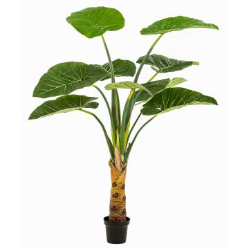 Plante artificielle Alocasia Calidora NICAS, pot décoratif, vert, 160 cm