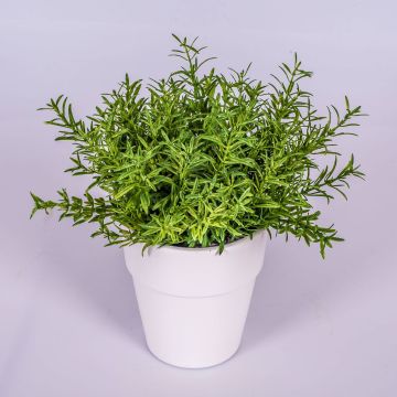 Romarin artificiel JOSHUA, dans un pot en céramique, vert, 23cm, Ø17cm