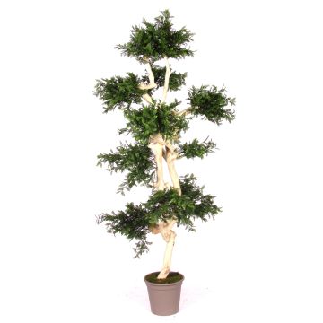 Arbre artificiel Acacia BOHDAN avec tronc naturel, crossdoor, vert, 185cm - Made in Italy