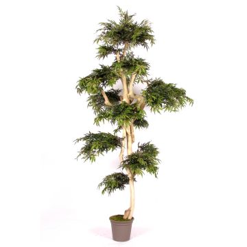 Arbre décoratif Érable du Japon AFANAS, tronc naturel, vert-rouge, 250cm - Made in Italy