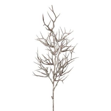 Branche artificielle Épine du Christ ZOLMER, givré, blanc-brun, 70cm