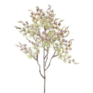 Branche artificielle Asparagus sprengeri GRUMEL, givré, vert-brun-blanc, 65cm