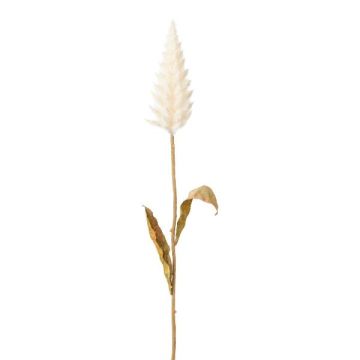 Herbe artificielle « queue de lapin » GLINOR, crème, 55 cm