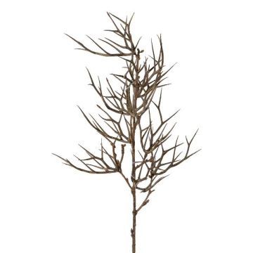Branche artificielle Épine du Christ SPROLI, brun, 70cm