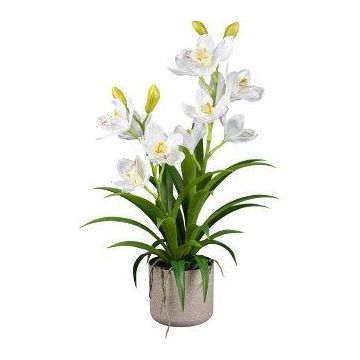 Fleur en plastique Orchidée Cymbidium CANFOL, cache-pot en mélamine, racines, blanc, 60cm Fleur en plastique Orchidée Cymbidium CANFOL, cache-pot en mélamine, racines, blanc, 60cm