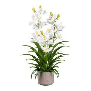 Fleur en plastique Orchidée Cymbidium CANFOL, cache-pot en mélamine, racines, blanc, 70cm Fleur en plastique Orchidée Cymbidium CANFOL, cache-pot en mélamine, racines, blanc, 70cm