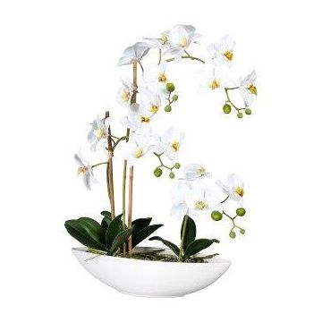 Orchidée Phalaenopsis artificielle JELTRON, coupe en céramique, racines, blanc, 60cm