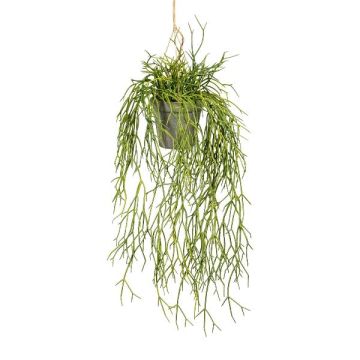Panier suspendu avec rhipsalis artificiel SKRAKY, pot décoratif, retombant, vert, 60cm Panier suspendu avec rhipsalis artificiel SKRAKY, pot décoratif, retombant, vert, 60cm