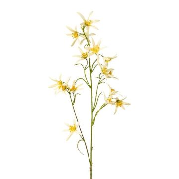 Branche décorative Tweedia solanoides ZORHIL, jaune métallisé, 75 cm Branche décorative Tweedia solanoides ZORHIL, jaune métallisé, 75 cm