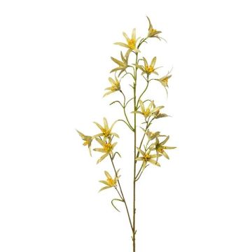 Branche décorative Tweedia solanoides ZORHIL, vert métallisé, 75 cm Branche décorative Tweedia solanoides ZORHIL, vert métallisé, 75 cm