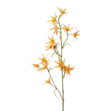 Branche décorative Tweedia solanoides ZORHIL, orange métallisé, 75 cm Branche décorative Tweedia solanoides ZORHIL, orange métallisé, 75 cm