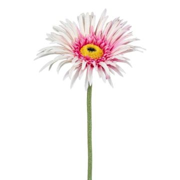 Fleur décorative Gerbera FELISY, rose-blanc, 65cm Fleur décorative Gerbera FELISY, rose-blanc, 65cm
