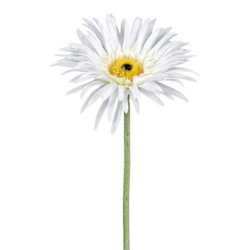 Fleur décorative Gerbera FELISY, blanc, 65cm Fleur décorative Gerbera FELISY, blanc, 65cm