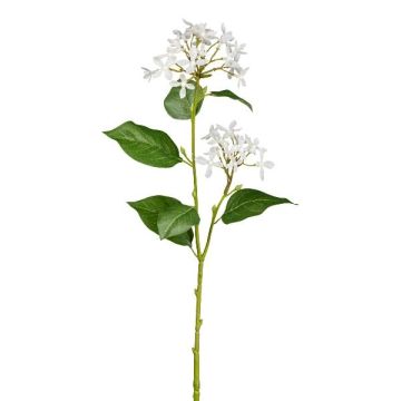 Branche artificielle Lilas AMERA, blanc, 55cm