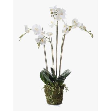 Orchidée artificielle PABLA, motte de mousse, blanc, 90cm, Ø10-13cm