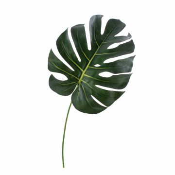 Fausse feuille de philo Monstera Deliciosa UMBERTO, vert, 55cm Fausse feuille de philo Monstera Deliciosa UMBERTO, vert, 55cm