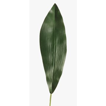 Feuille d'Aspidistra synthétique PAISA, 75cm