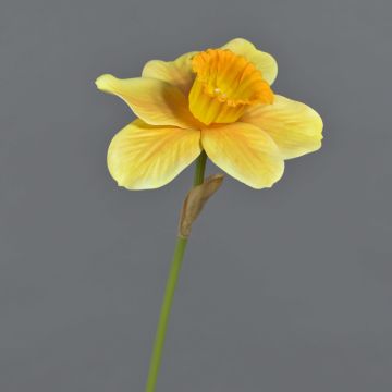 Fleur décorative Narcisse FEIHAO, orange-jaune, 40cm