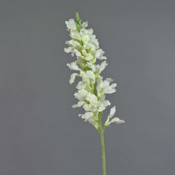 Fleur artificielle Gueule-de-loup FOLET, blanc, 100cm