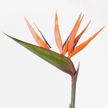 Strelitzia artificiel ALLISSA, orange-violet, 90cm, 17x24cm