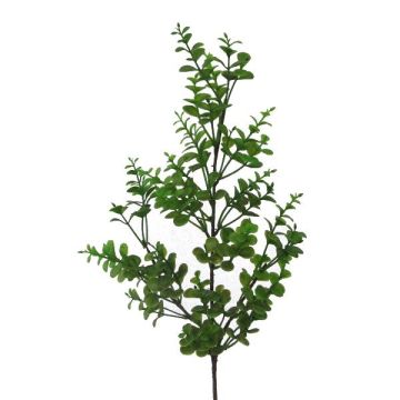 Branche décorative Eucalyptus PLERKO, vert, 60cm