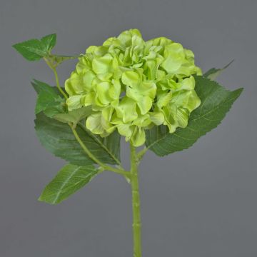 Fleur artificielle Hortensia VOSTE, vert, 45cm