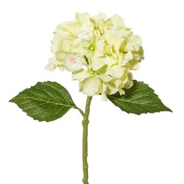 Fleur artificielle Hortensia BLUVE, vert clair, 35cm Fleur artificielle Hortensia BLUVE, vert clair, 35cm