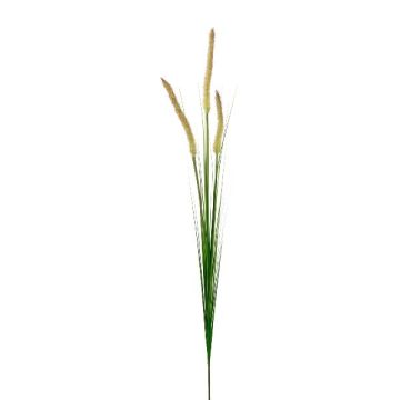 Branche décorative Pennisetum RILVO, panicules, vert-rose, 90cm