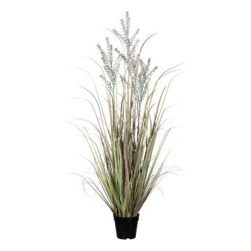 Herbe artificielle Calamagrostis epigejos LERVA avec des panicules, vert-rose, 125cm