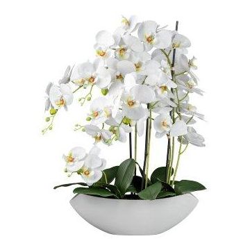 Fleur artificielle Orchidée Phalaenopsis XELAV, coupe en céramique, blanc, 65cm