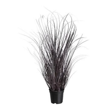 Herbe décorative Carex TAVRE, lilas-argent, 75cm