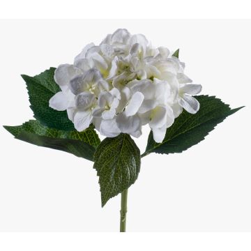 Hortensia artificiel GABRIELLA, crème, 50cm, Ø18cm Hortensia artificiel GABRIELLA, crème, 50cm, Ø18cm