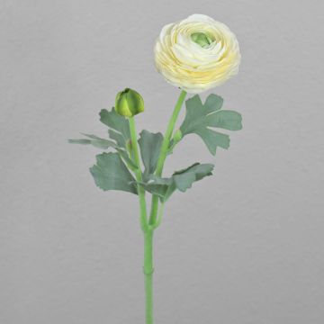 Renoncule artificielle CADISS, crème, 50 cm, Ø 7,5 cm