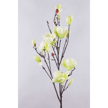 Branche de magnolia artificielle YONA, vert crème, 130 cm, Ø 5-15 cm Branche de magnolia artificielle YONA, vert crème, 130 cm, Ø 5-15 cm