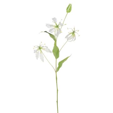 Fleur artificielle Gloriosa MAFIRNA, blanc-vert, 80 cm