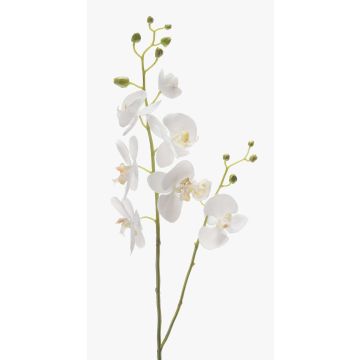 Tige d’orchidée Phalaenopsis en tissu LAHNA, blanc, 95cm, Ø5-10cm