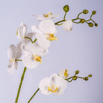 Tige d’orchidée Phalaenopsis en tissu LAHNA, blanc, 95cm, Ø5-10cm Tige d’orchidée Phalaenopsis en tissu LAHNA, blanc, 95cm, Ø5-10cm