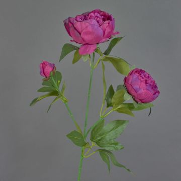 Pivoine artificielle sur tige MEIRU, violet foncé, 70cm Pivoine artificielle sur tige MEIRU, violet foncé, 70cm
