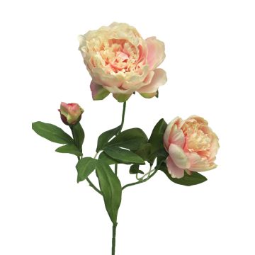 Pivoine artificielle sur tige MEIRU, abricot-rose, 70cm