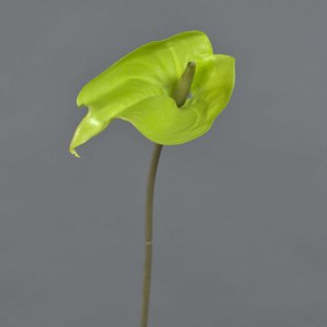Fleur artificielle Anthurium FEIWU, vert clair, 65cm