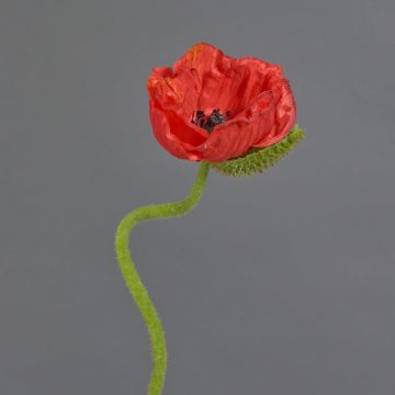 Fleur artificielle coquelicot ANKANG, rouge, 70cm