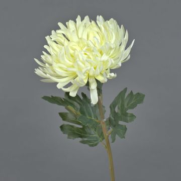 Fleur artificielle chrysanthème LINGYUN, blanc, 65cm Fleur artificielle chrysanthème LINGYUN, blanc, 65cm
