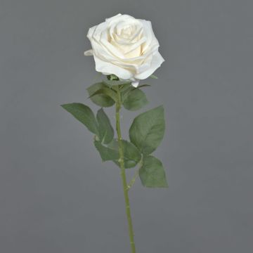 Rose artificielle KAILIN, crème, 65cm