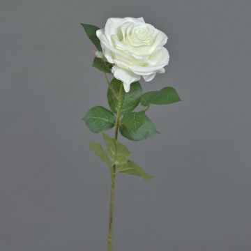 Rose artificielle KAILIN, blanc, 65cm Rose artificielle KAILIN, blanc, 65cm