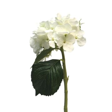 Fleur artificielle hortensia XINCHENG, blanc, 50cm Fleur artificielle hortensia XINCHENG, blanc, 50cm