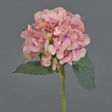 Fleur artificielle hortensia XINCHENG, rose-vert, 50cm
