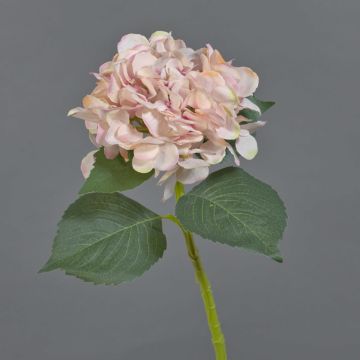 Fleur artificielle hortensia FUXIANG, rose-crème, 50cm
