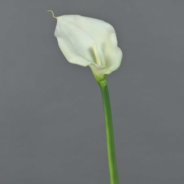 Fleur artificielle Zantedeschia ZHILONG, blanc, 55cm Fleur artificielle Zantedeschia ZHILONG, blanc, 55cm