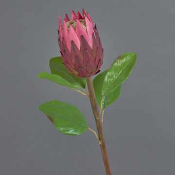 Fausse fleur Protea AZHEN, violet, 65cm Fausse fleur Protea AZHEN, violet, 65cm